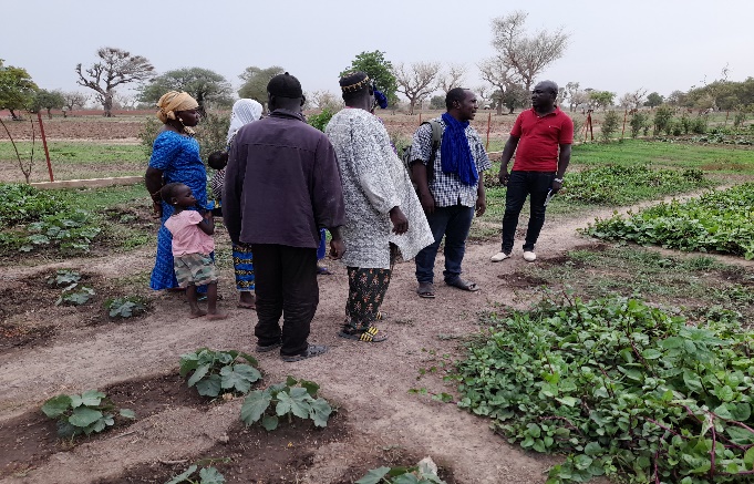 [Translate to Français:] 